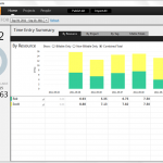 Time Entry Summary Combined
