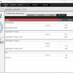 Time Entry Summary